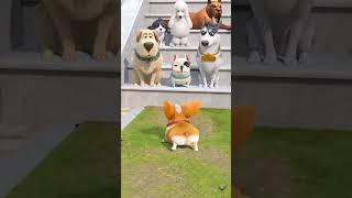 Animated dog comedy 😂 [upl. by Patin]