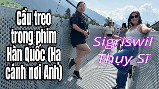 Đi cầu treo Sigriswil Thụy Sĩ hacanhnoianh sigriswil [upl. by Nareik159]