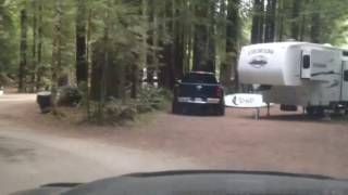 Gualala redwood campground [upl. by Dnesnwot]