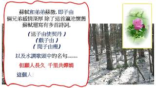 Photo Art 81 蘇軾詩詞v1 [upl. by Kovar]