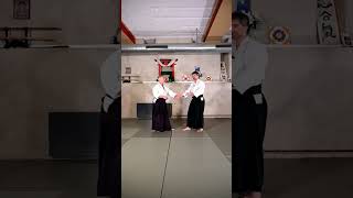 4 directions of SHIHONAGE with bonus variant  Aikido Virtual Dojo [upl. by Artus]