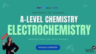 Salt Bridge in electrochemical cells  ALevel Physical Chemistry [upl. by Ihteerp]