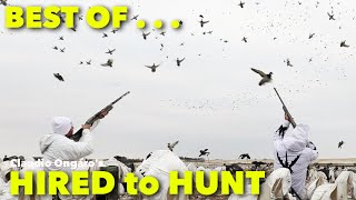 Best of Hired to Hunt 1  Season 8 10  Goose Hunting Duck Hunting Claudio Ongaro in ALBERTA [upl. by Nnhoj540]