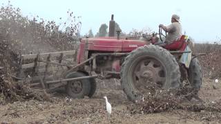 Tractor triciclo International de 1950  modelo Farmall 19241973 [upl. by Naiditch974]