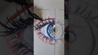 Prismacolor Premier vs Caran dAche Luminance Coloured Pencils [upl. by Aihsinat]