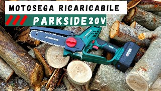 Motosega Ricaricabile A BATTERIA PARKSIDE 20V [upl. by Moreville]