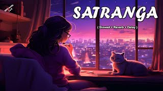 Satranga Slowed  Reverb  Arijit Singh  Animal  NSG media [upl. by Aggri]