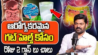 Probiotics  ప్రో బయాటిక్స్  Benefits  Myths  Improve Gut Health  Dr Somashker iDreamDoctor [upl. by Bj]