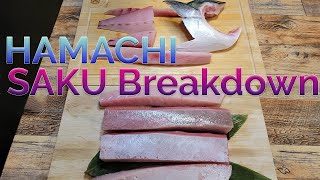 How to cut Yellowtail HAMACHI into PERFECT sushi SAKU [upl. by Apicella]