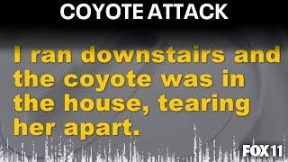 Simi Valley man stabs coyote after it enters his home attacks dog [upl. by Eiliah]