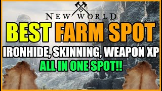 New World 5000 Ironhide Per Hour BEST Farm Location for Ironhide Skinning XP and Weapon XP [upl. by Ellekcim]