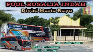 Inilah Lokasi Pool Rosalia Indah Div Muria Raya‼️Jalur Baru Pati  Sumatera amp Pati  Jabodetabek🔥 [upl. by Lletniuq]