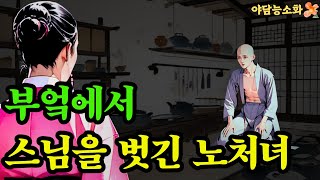 〔야담 능소화 051〕 노처녀에게 꼼짝없이 붙들려 버린 사또의 외동아들  괴담 전설 민담 설화 야담 드라마 옛날이야기 [upl. by Llejk]