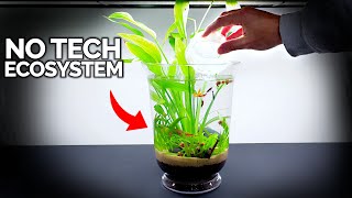 No Tech Ecosystem Vase For Anywhere In Your Home [upl. by Peckham888]