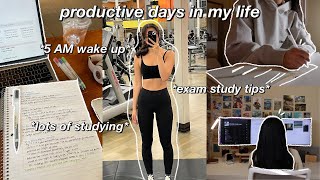 5 am productive morning routine ☁️ FINALS WEEK study tips getting my life together amp adulting [upl. by Akener]