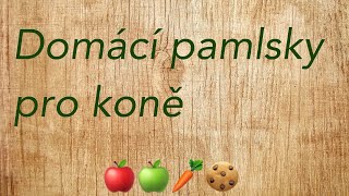 Domácí pamlsky pro koně 🐎🍪 I se sušeným ovocem 🍎🍑I [upl. by Anavlys]