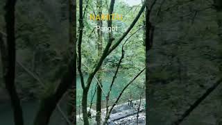 Nainital pangot lake viraloldsong nainital viralshort nainitales song [upl. by Netsriik]