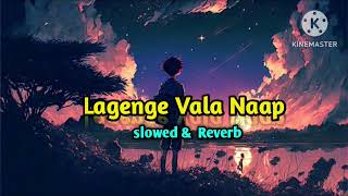 quot Lehenga Aala Naap slowed amp Reverb Love Lofi song lyrics video new song status video [upl. by Acissj727]