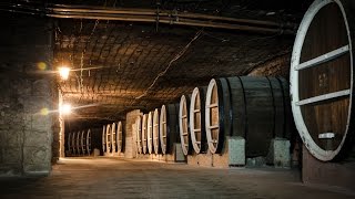 Криковские подвалы Кишинев Krikova Wine Cellars [upl. by Shayn]