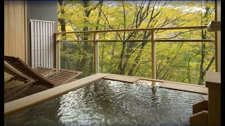 Ryokan Gora Hanaougi Madoka no Mori Hakone JAPAN [upl. by Bary426]