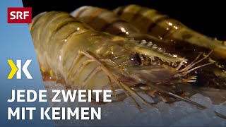 Crevetten im Test Resistente Bakterien und Keime in den Shrimps  2019  Kassensturz  SRF [upl. by Adelheid]