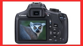 How to adjust Shutter Aperture amp ISO on a Canon EOS DSLR camera [upl. by Shorter317]