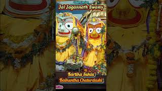 Baikuntha Chaturdashi Jagannath Darshan  Sabuthi Jagannatha  SNo  362 [upl. by Clardy]