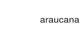 How to pronounce araucana [upl. by Tedmund]