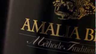 Amalia Brut spot [upl. by Irehj]