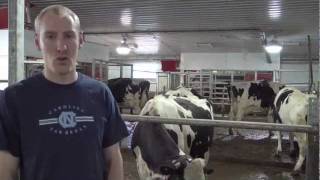 Benner Holsteins – Customer Story Canada [upl. by Elyrehc640]