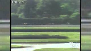 Watch Affirmed completes the Triple Crown in 1978 [upl. by Emmalynne]