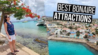 Bonaire Travel Guide  The Best Things to See and Do in Bonaire [upl. by Brennan]