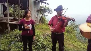 Los interpretes de la sierra  Sierra de Zongolica Veracruz México [upl. by Merrell461]