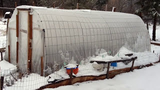 150 Greenhouse  Incredibly simple and sturdy [upl. by Shellans]