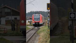 S7 nach Holzkirchen in Dürnhaar [upl. by Codding]