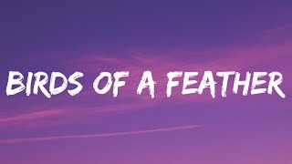 Billie Eilish  BIRDS OF A FEATHER Lyrics [upl. by Odlabu]