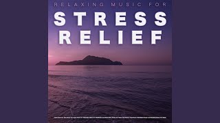 Music for Stress Relief [upl. by Ballou898]