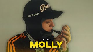 tlow  MOLLY OFFICIAL VIDEO prod808Vibes [upl. by Ojytteb959]