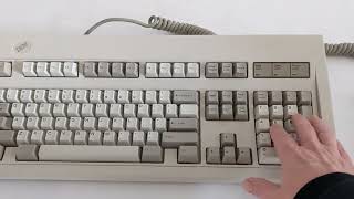 1991 IBM 1391401 Model M Keyboard [upl. by Anirav]