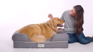 PetFusion Ultimate Dog Bed amp Lounge [upl. by Eniron]