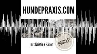 Der 1 Jagdhunde OnlineKongress  Hundepraxis  der Podcast [upl. by Farron567]