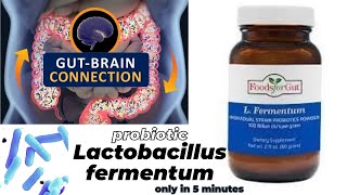 lactobacillus microbiology lecture lactobacillus fermentum Easy Microbiology [upl. by Vanny]