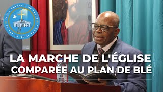 LA MARCHE DE LÉGLISE COMPARÉE AU PLAN DE BLÉ [upl. by Ramo421]