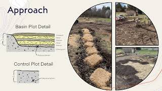 Basin Farming and Sheet Mulching to Capture Water and Build Soil [upl. by Nrevel]