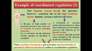 coordinated regulations Bacterial Virulence Factor [upl. by Ara]