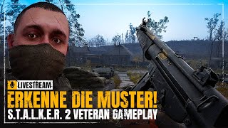 STALKER 2 auf Veteran durchspielen ☢️ Tag 2 Die Geschichte wiederholt sich [upl. by Paehpos]