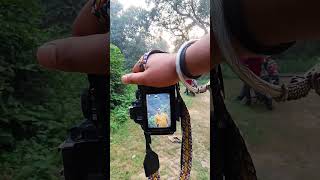 Nikon d3500 photography ideas 💡smartphone ytshorts ytshort camera [upl. by Ng993]