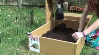 Setting Up A Mediterranean Tortoise Enclosure [upl. by Ridgley]