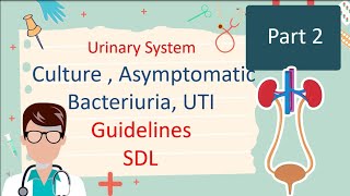 Culture  Asymptomatic Bacteriuria  UTI Guidelines  Part 2 [upl. by Irrac]