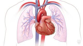 Mayo Clinic Minute Managing atrial fibrillation [upl. by Merci75]